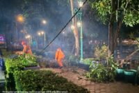 Penanganan pohon tumbang menimpa jaringan listrik pada fasilitas umum di Alun-alun Wates, Kulon Progo menyusul hujan lebat di daerah itu sehari sebelumnya. (BPBD Kabupaten Bantul)