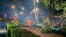 Penanganan pohon tumbang menimpa jaringan listrik pada fasilitas umum di Alun-alun Wates, Kulon Progo menyusul hujan lebat di daerah itu sehari sebelumnya. (BPBD Kabupaten Bantul)