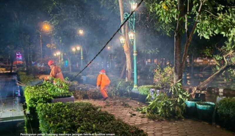 Penanganan pohon tumbang menimpa jaringan listrik pada fasilitas umum di Alun-alun Wates, Kulon Progo menyusul hujan lebat di daerah itu sehari sebelumnya. (BPBD Kabupaten Bantul)