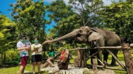 Pengunjung gembira Loka Zoo saat berinteraksi dengan satwa. (visitingjogja)