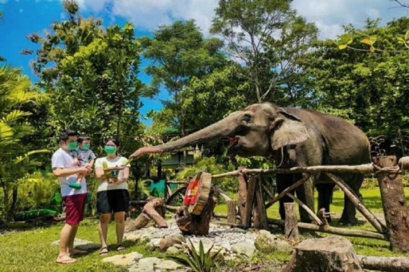 Pengunjung gembira Loka Zoo saat berinteraksi dengan satwa. (visitingjogja)