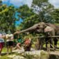 Pengunjung gembira Loka Zoo saat berinteraksi dengan satwa. (visitingjogja)