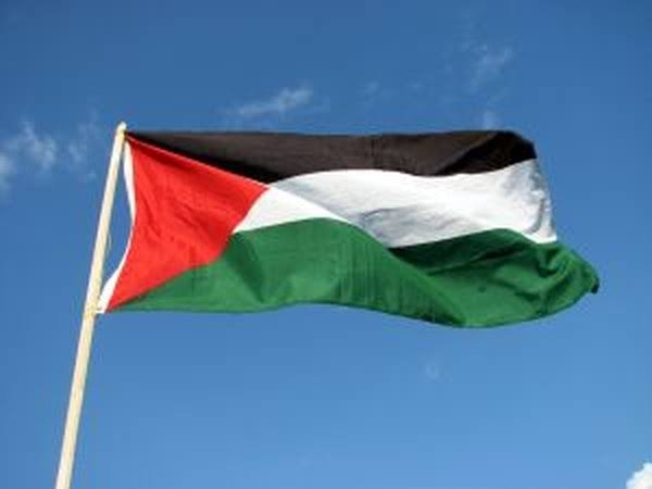 Bendera Palestina dikibarkan di stadion Columbus Crew untuk mendukung pemain baru mereka, Wessam Abou Ali. (Getty Images)