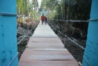 Jembatan Gantung di Pekon Tampang Muda, Kecamatan Pematang Sawa, Kabupaten Tanggamus, siap dilintasi kembali para siswa setelah lima hari diperbaiki. (Istimewa)