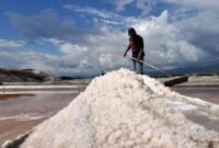 Kemandirian ekonomi daerah melalui sektor garam terus menjadi perhatian Komisi B DPRD (DIY). (Antara Foto)