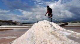 Kemandirian ekonomi daerah melalui sektor garam terus menjadi perhatian Komisi B DPRD (DIY). (Antara Foto)