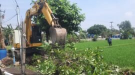 Proses pembangunan Laboratorium Pupuk Organik di Kelurahan Tegalrejo. (Sumber foto: X)