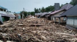 Kayu gelondongan menumpuk di hilir pasca banjir besar Sumatera. (Joke)