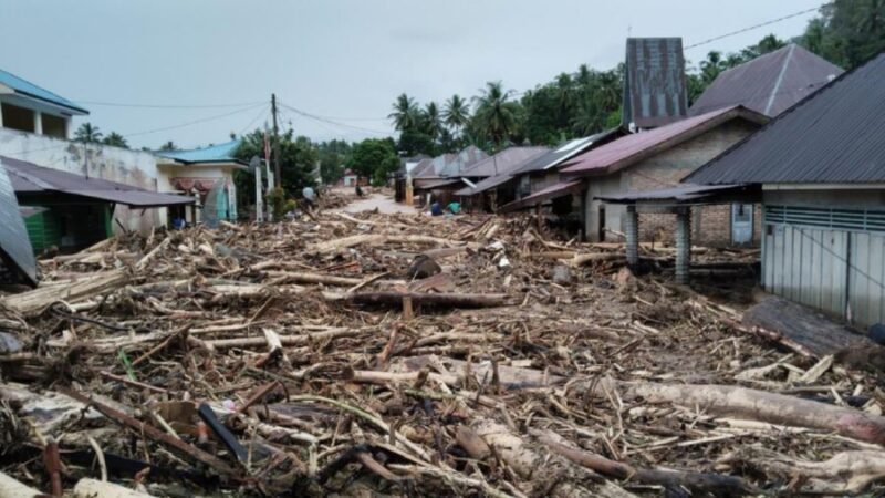Kayu gelondongan menumpuk di hilir pasca banjir besar Sumatera. (Joke)