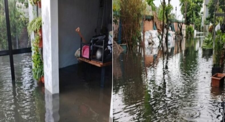 foto slider headline