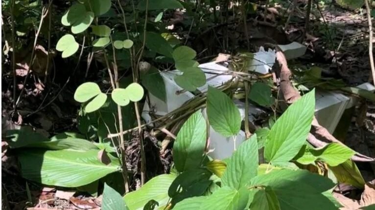 foto slider headline