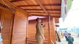 Bupati Aceh Tamiang Armia Pahmi saat meninjau pembangunan huntara dan huntap. Dok Satgas PRR/Pemkab Aceh Tamiang