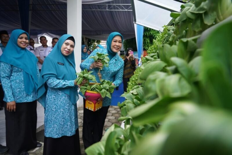 Tinjau Kebun Hidroponik, Ketua TP PKK Sumsel Feby Herman Deru Puji Inovasi Pangan OKU Timur