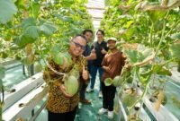 Kepala DPMPTSP DIY bersama pengelola Inofarm dan Direktorat Inovasi Hilirisasi UMY saat melakukan panen melon hidroponik di kebun Inofarm Jogja