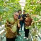 Kepala DPMPTSP DIY bersama pengelola Inofarm dan Direktorat Inovasi Hilirisasi UMY saat melakukan panen melon hidroponik di kebun Inofarm Jogja