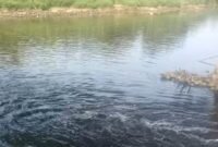 Sungai Cisadane