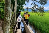 Peninjauan lahan sawah terdampak di Kabupaten Nagan Raya, Aceh. dok : Satgas PRR/kementerian PU