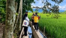 Peninjauan lahan sawah terdampak di Kabupaten Nagan Raya, Aceh. dok : Satgas PRR/kementerian PU