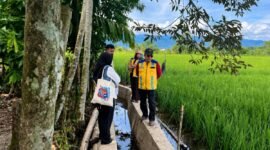 Peninjauan lahan sawah terdampak di Kabupaten Nagan Raya, Aceh. dok : Satgas PRR/kementerian PU