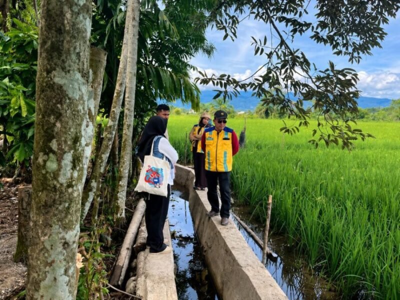 Peninjauan lahan sawah terdampak di Kabupaten Nagan Raya, Aceh. dok : Satgas PRR/kementerian PU