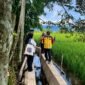 Peninjauan lahan sawah terdampak di Kabupaten Nagan Raya, Aceh. dok : Satgas PRR/kementerian PU