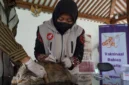 Kepala Medik Veteriner Dinas Pertanian dan Pangan Kota Yogyakarta Sri Wahyuningsih memberikan vaksinasi gratis kepada hewan penular rabies. (Joke/Dinkominfosan)