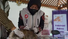 Kepala Medik Veteriner Dinas Pertanian dan Pangan Kota Yogyakarta Sri Wahyuningsih memberikan vaksinasi gratis kepada hewan penular rabies. (Joke/Dinkominfosan)
