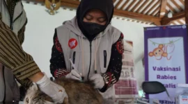 Kepala Medik Veteriner Dinas Pertanian dan Pangan Kota Yogyakarta Sri Wahyuningsih memberikan vaksinasi gratis kepada hewan penular rabies. (Joke/Dinkominfosan)