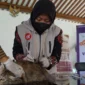Kepala Medik Veteriner Dinas Pertanian dan Pangan Kota Yogyakarta Sri Wahyuningsih memberikan vaksinasi gratis kepada hewan penular rabies. (Joke/Dinkominfosan)