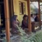 Kegiatan diversifikasi wisata budaya di Sambirejo yang dikembangkan oleh PPK Ormawa EDSA UMY bersama Jogja International Heritage Walk
