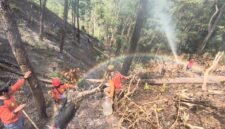 Petugas gabungan melakukan penyemprotan dan pendinginan lahan bekas kebakaran di Bukit Bluwuk, Kaliwiro, Wonosobo