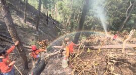 Petugas gabungan melakukan penyemprotan dan pendinginan lahan bekas kebakaran di Bukit Bluwuk, Kaliwiro, Wonosobo