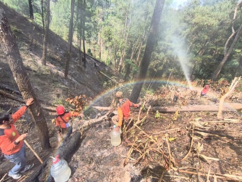 Petugas gabungan melakukan penyemprotan dan pendinginan lahan bekas kebakaran di Bukit Bluwuk, Kaliwiro, Wonosobo