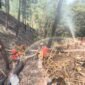 Petugas gabungan melakukan penyemprotan dan pendinginan lahan bekas kebakaran di Bukit Bluwuk, Kaliwiro, Wonosobo