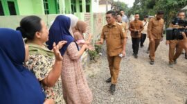 Andra Soni turun langsung menemui masyarakat dalam rangkaian kunjungan kerja di Kabupaten Pandeglang