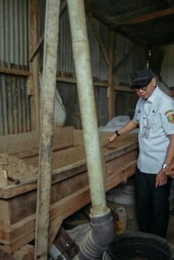 berita-rekomendasi-foto