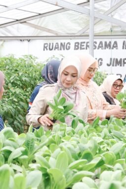 berita-rekomendasi-foto